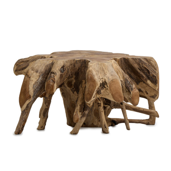 Coffee table  ROOTS L