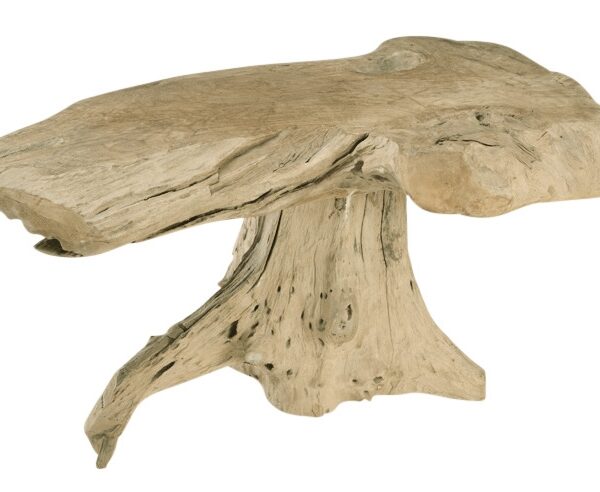 Coffee table ROOTS