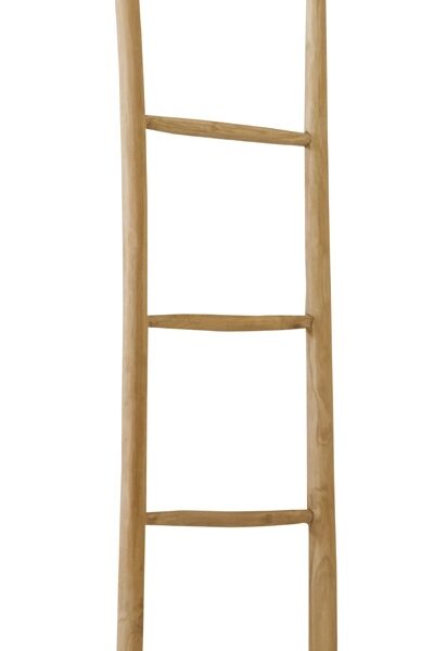 Ladder NAS