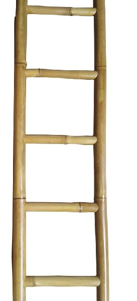 Bamboo LADDER N