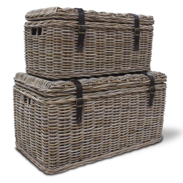 Chest TRUNK 1 S